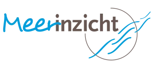 logo_meerinzicht_optimized